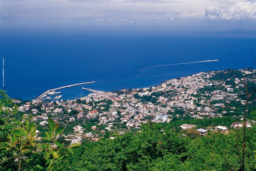 Appartamenti Ischia La Sentinella Casamicciola Terme Eksteriør bilde