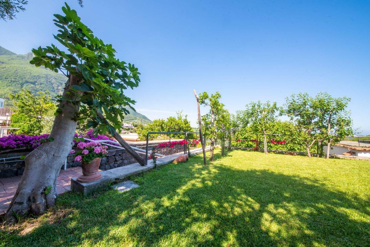 Appartamenti Ischia La Sentinella Casamicciola Terme Eksteriør bilde